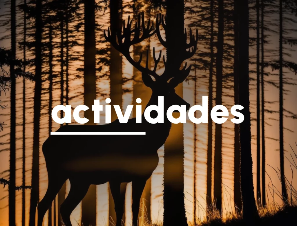 actividades medioambientales