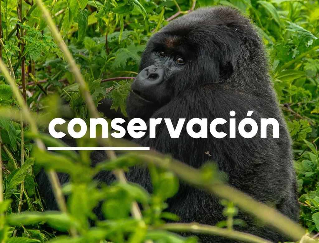 Conservación de fauna